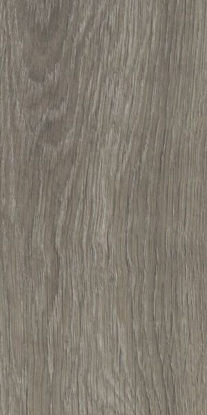 forbo Allura Commercial 0,55 grey giant oak - Klebe Vinylboden