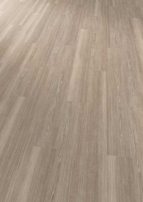 objectflor expona domestic Grey Ash 5962 KLEBE Vinylboden | bodenheld24