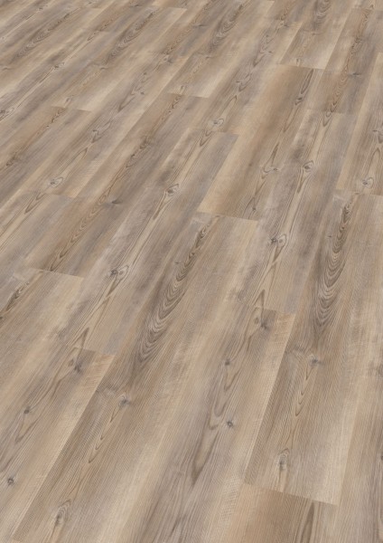 wineo 400 wood L Coast Pine Taupe - Klebe Vinylboden