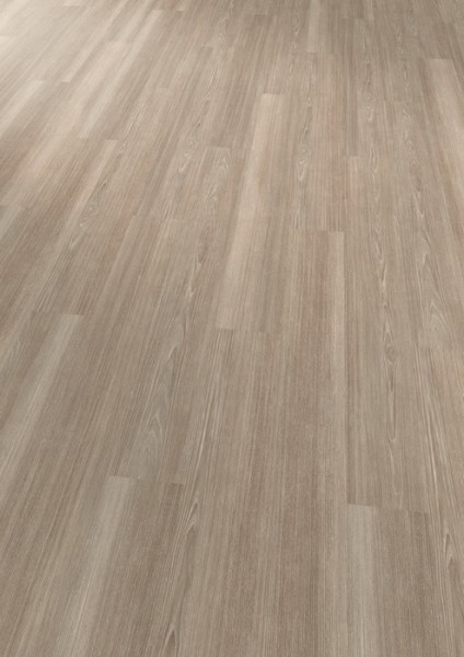 expona commercial - Grey Ash